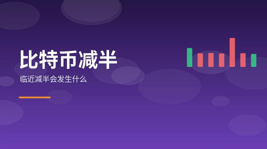 盯着屏幕查看减半进度与区块高度的场景